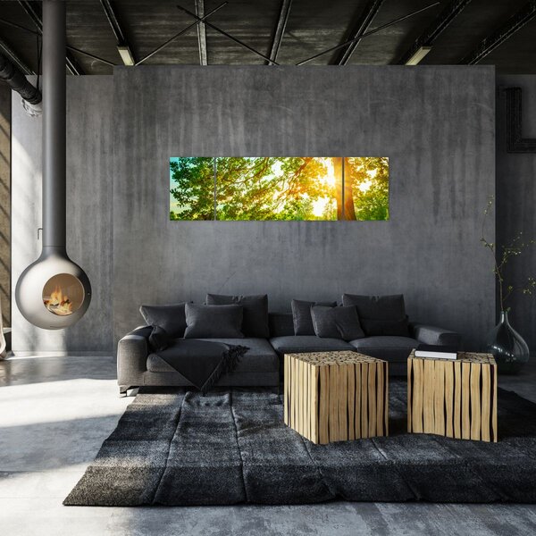 Obraz - Słoneczny Las (170x50 cm)