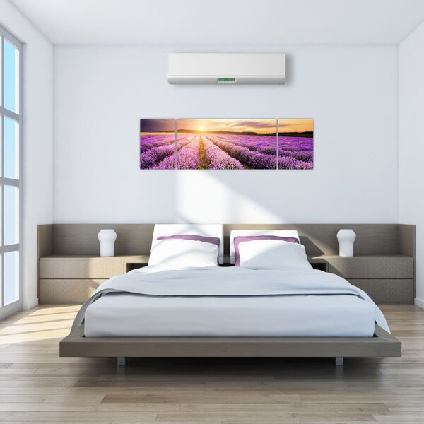Obraz - Wschód słońca na polu lawendy (170x50 cm)