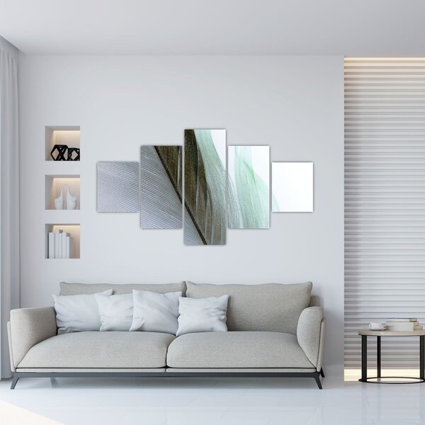 Obraz - Pióra, makro (125x70 cm)