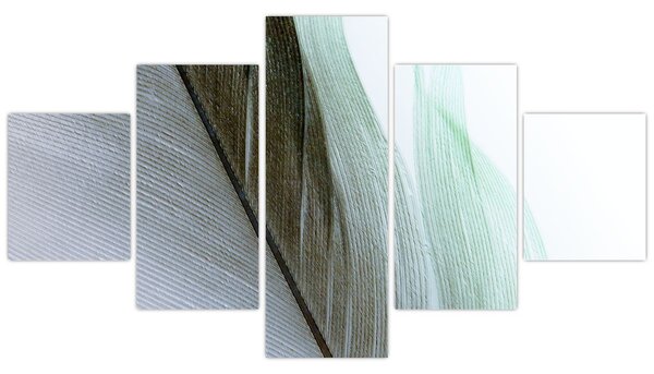 Obraz - Pióra, makro (125x70 cm)