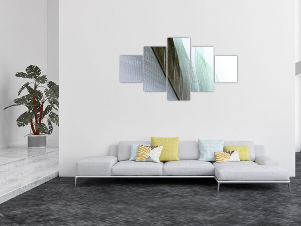 Obraz - Pióra, makro (125x70 cm)