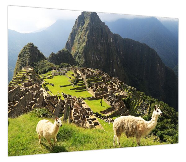 Obraz - Machu Picchu (70x50 cm)