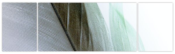 Obraz - Pióra, makro (170x50 cm)
