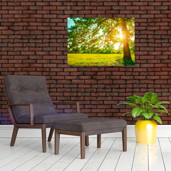 Obraz - Słoneczny Las (70x50 cm)