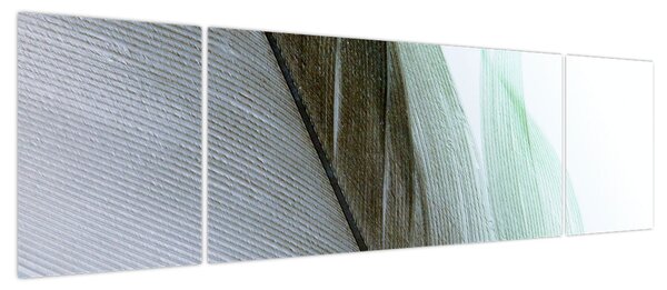 Obraz - Pióra, makro (170x50 cm)