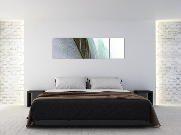 Obraz - Pióra, makro (170x50 cm)