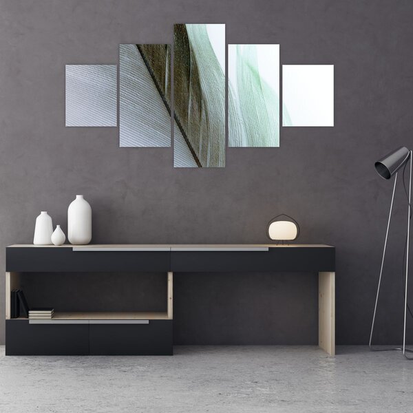 Obraz - Pióra, makro (125x70 cm)