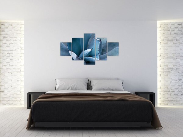 Obraz - Agawa (125x70 cm)