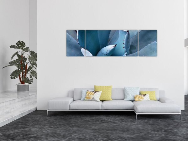 Obraz - Agawa (170x50 cm)