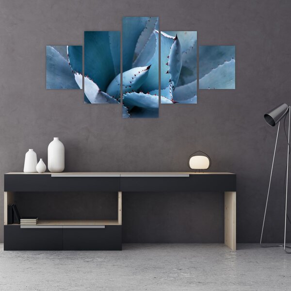 Obraz - Agawa (125x70 cm)