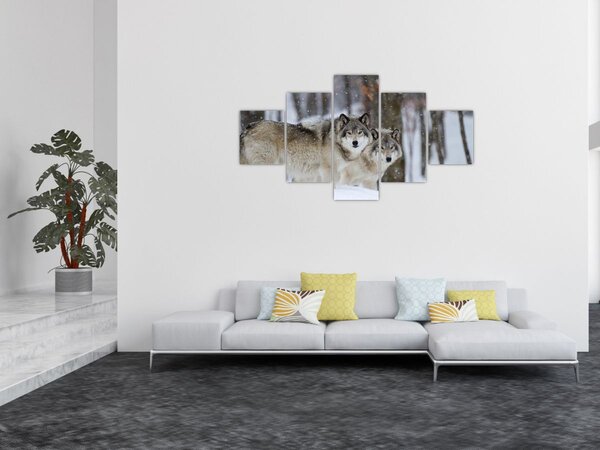 Obraz - Wilki zimą (125x70 cm)