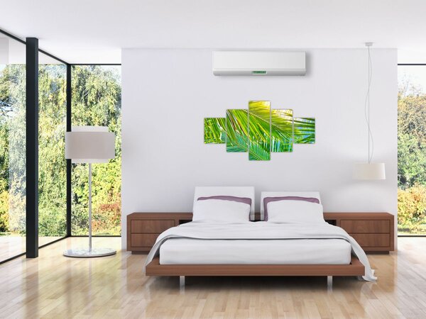 Obraz - Liście palmowe (125x70 cm)