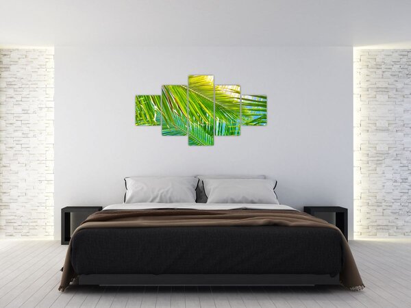 Obraz - Liście palmowe (125x70 cm)