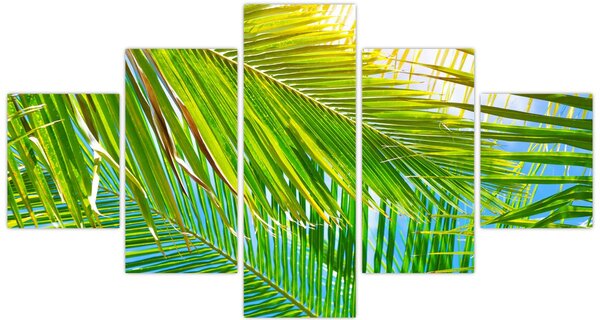 Obraz - Liście palmowe (125x70 cm)
