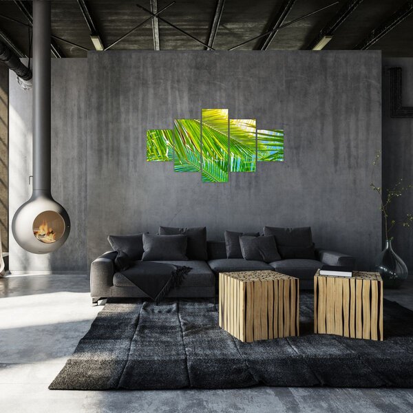 Obraz - Liście palmowe (125x70 cm)