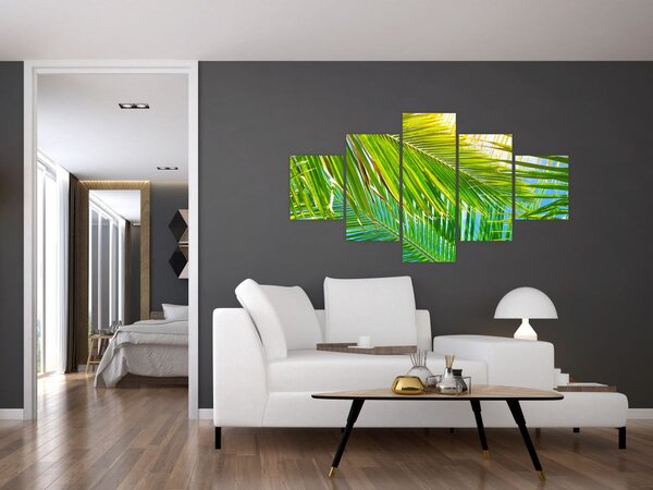 Obraz - Liście palmowe (125x70 cm)