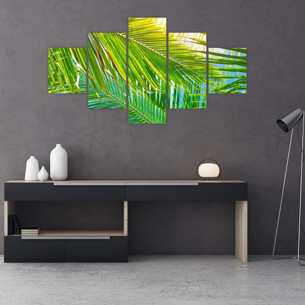 Obraz - Liście palmowe (125x70 cm)