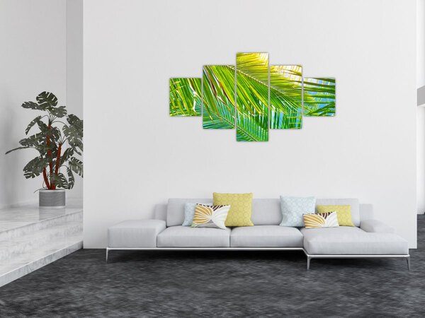 Obraz - Liście palmowe (125x70 cm)