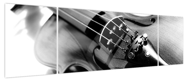 Obraz - Skrzypce (170x50 cm)