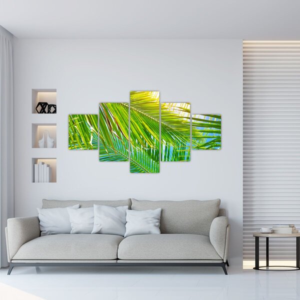 Obraz - Liście palmowe (125x70 cm)