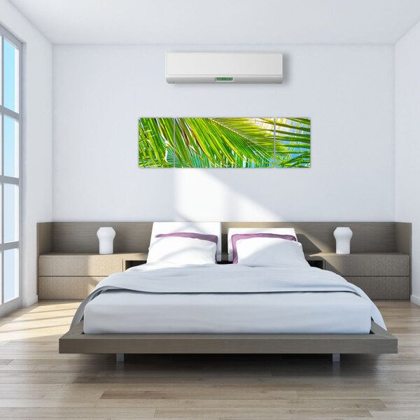 Obraz - Liście palmowe (170x50 cm)