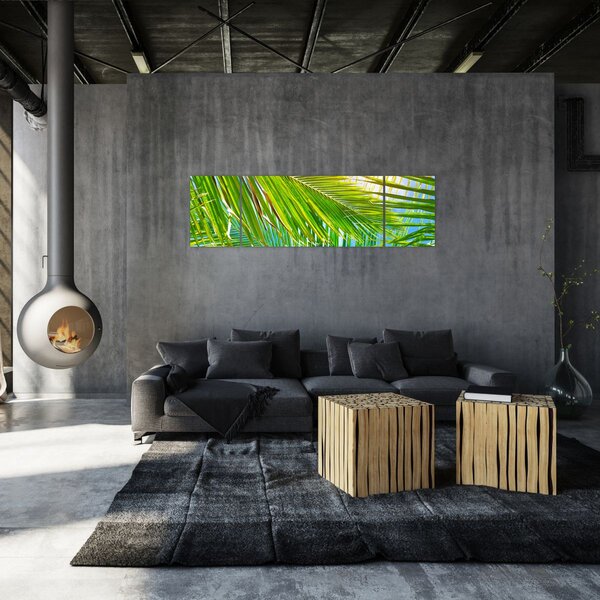 Obraz - Liście palmowe (170x50 cm)