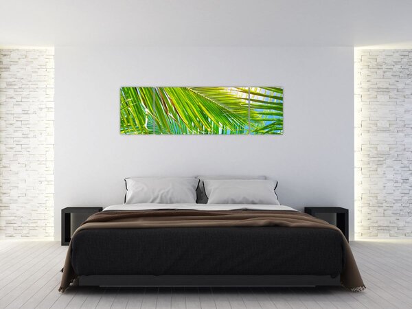 Obraz - Liście palmowe (170x50 cm)