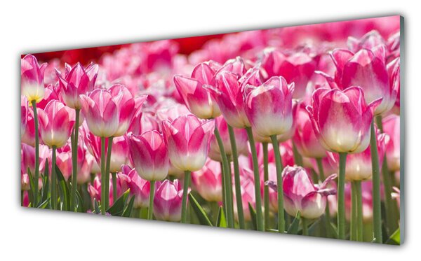 Obraz Szklany Tulipany Kwiaty Natura