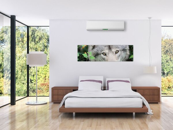 Obraz - Portret wilka (170x50 cm)