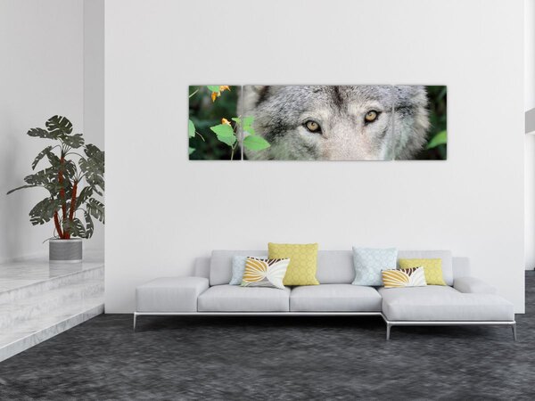 Obraz - Portret wilka (170x50 cm)