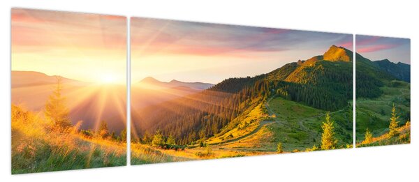 Obraz - Letni krajobraz (170x50 cm)