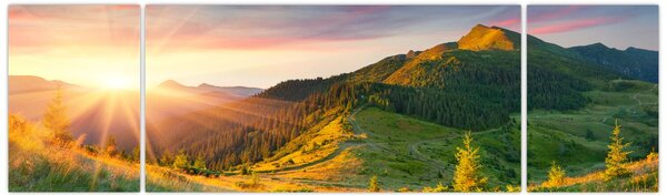 Obraz - Letni krajobraz (170x50 cm)