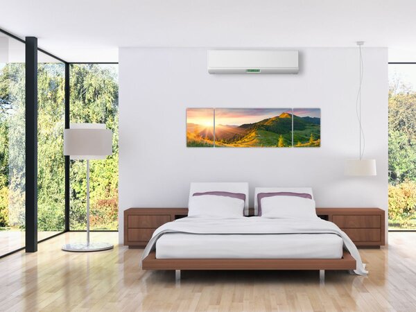 Obraz - Letni krajobraz (170x50 cm)