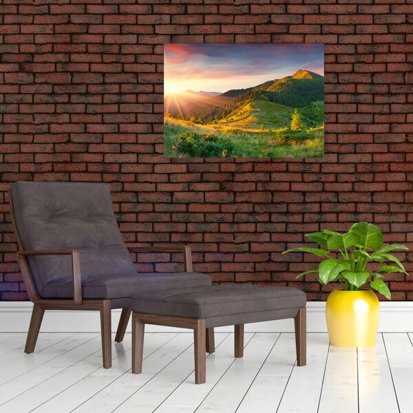 Obraz - Letni krajobraz (70x50 cm)