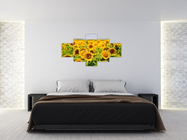 Obraz - Słoneczniki (125x70 cm)