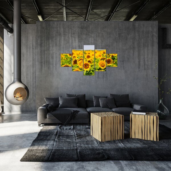 Obraz - Słoneczniki (125x70 cm)