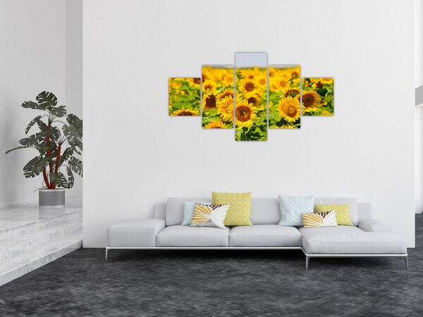 Obraz - Słoneczniki (125x70 cm)