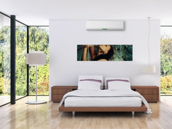 Obraz - Muza (170x50 cm)
