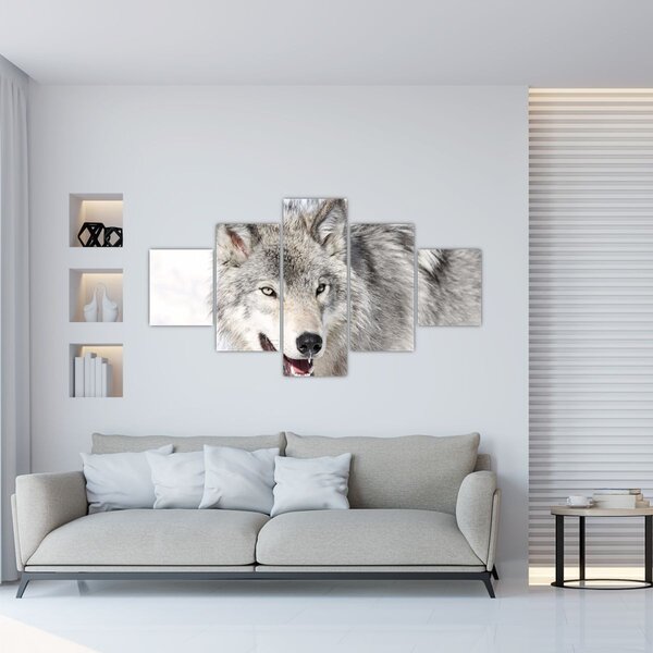 Obraz - Wilk w naturze (125x70 cm)