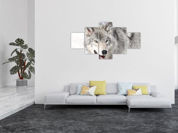 Obraz - Wilk w naturze (125x70 cm)