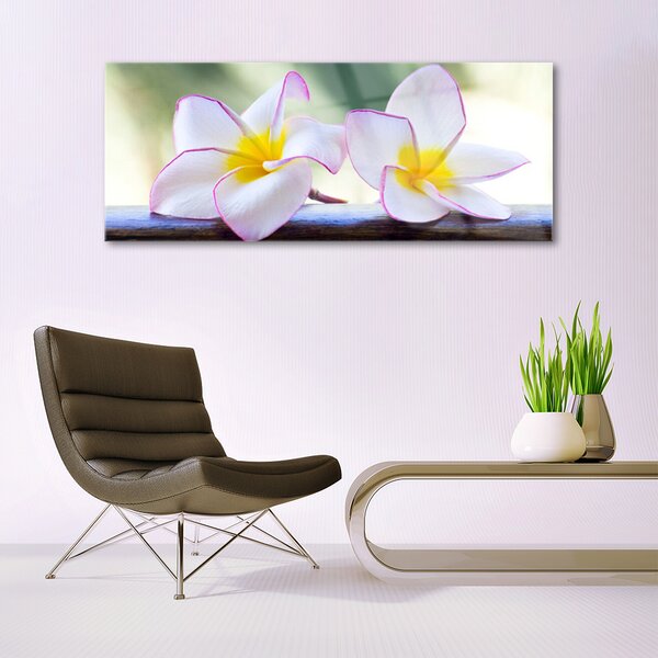 Obraz Szklany Kwiaty Płatki Plumeria