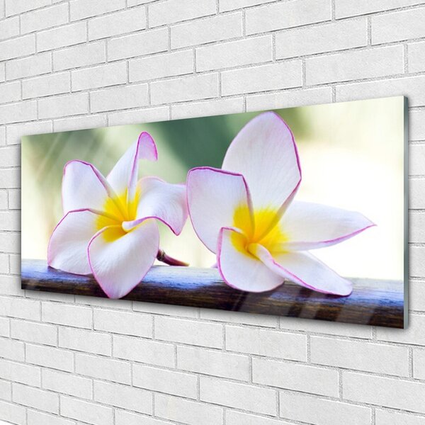 Obraz Szklany Kwiaty Płatki Plumeria