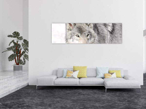 Obraz - Wilk w naturze (170x50 cm)