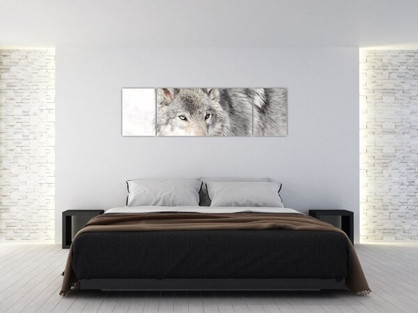 Obraz - Wilk w naturze (170x50 cm)