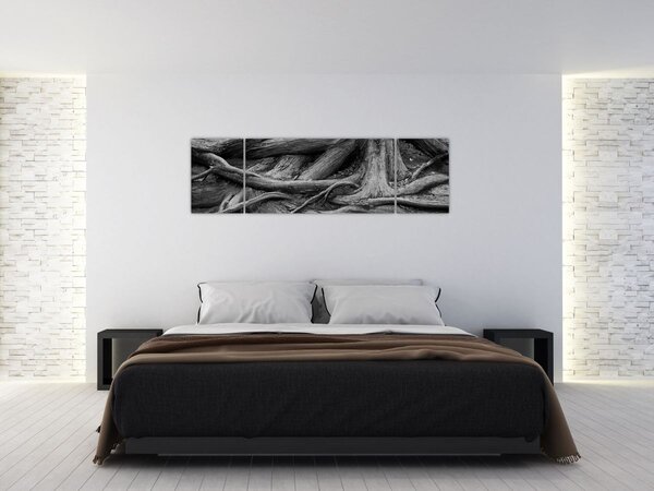 Obraz - Korzenie drzewa (170x50 cm)