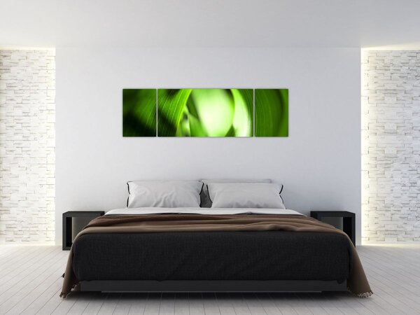 Obraz - Źdźbło trawy (170x50 cm)
