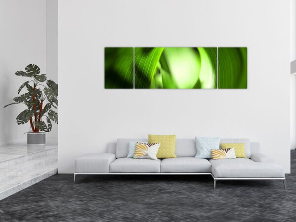 Obraz - Źdźbło trawy (170x50 cm)