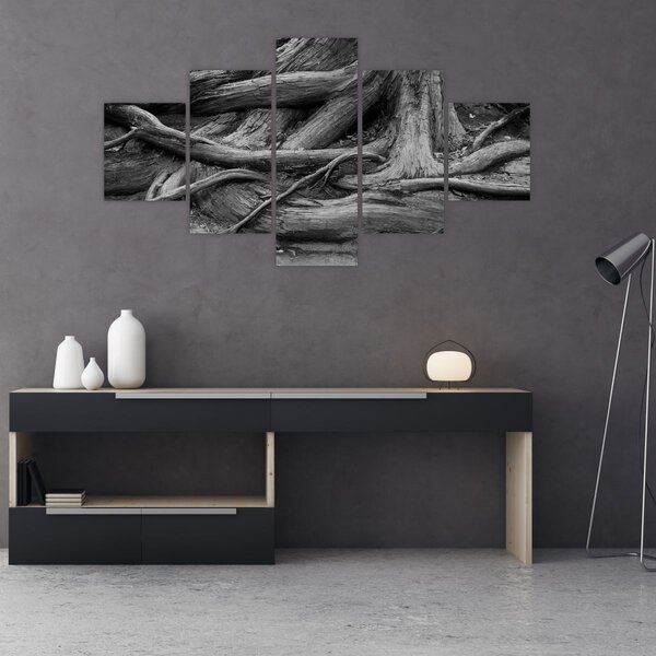 Obraz - Korzenie drzewa (125x70 cm)
