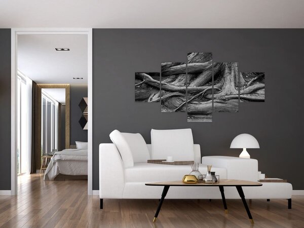 Obraz - Korzenie drzewa (125x70 cm)