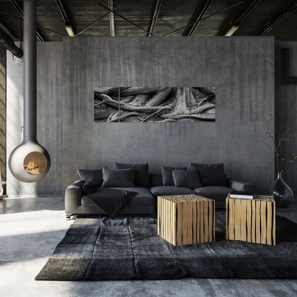 Obraz - Korzenie drzewa (170x50 cm)